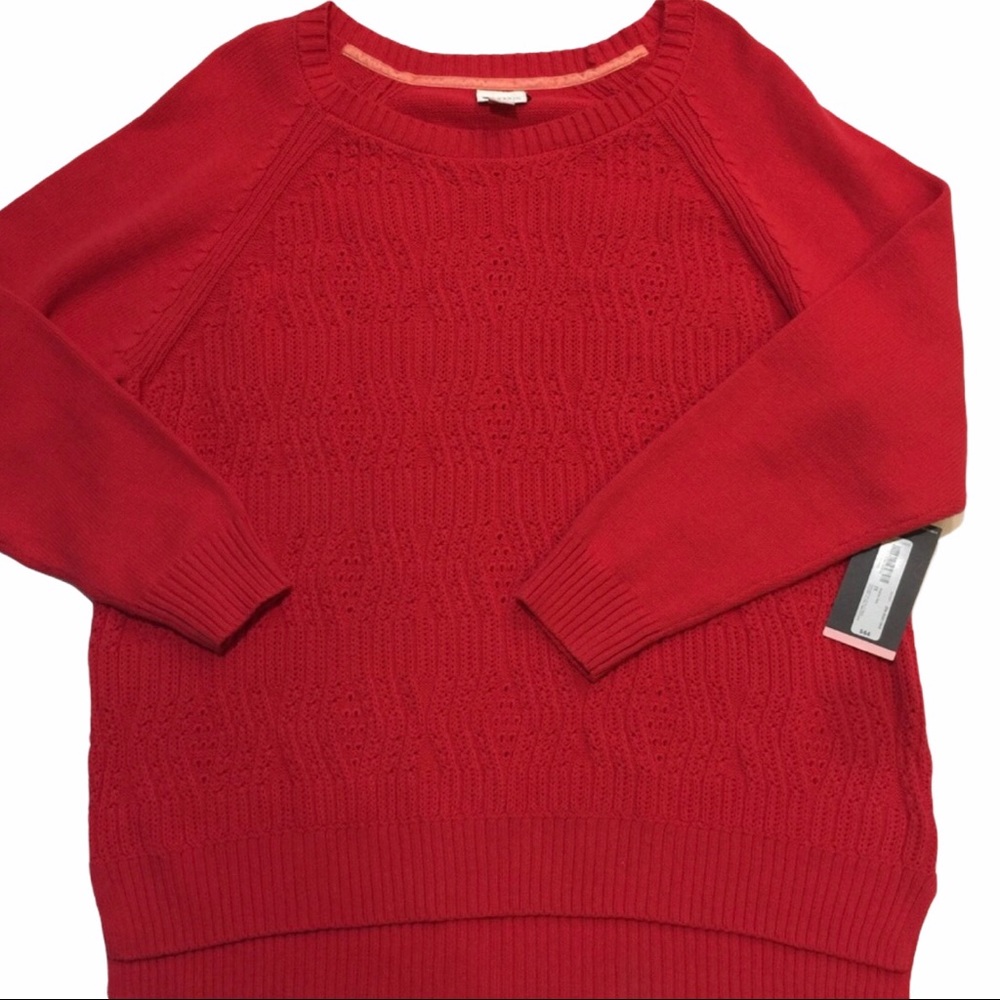Stylus Long Sleeve Sweater NWT